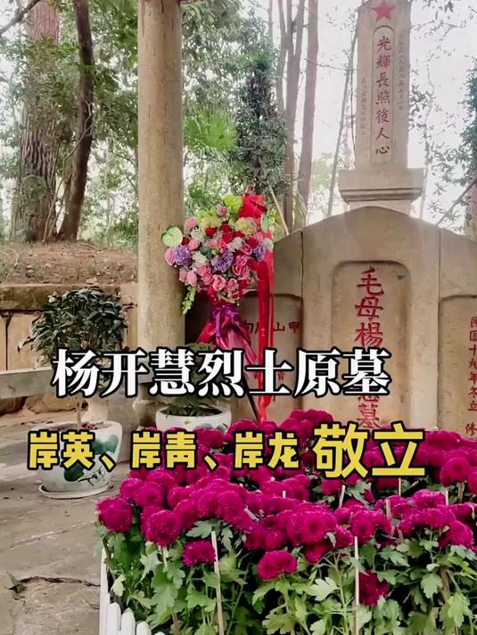 杨开慧烈士原墓:岸英,岸青,岸龙敬立,母子情深凝丰碑