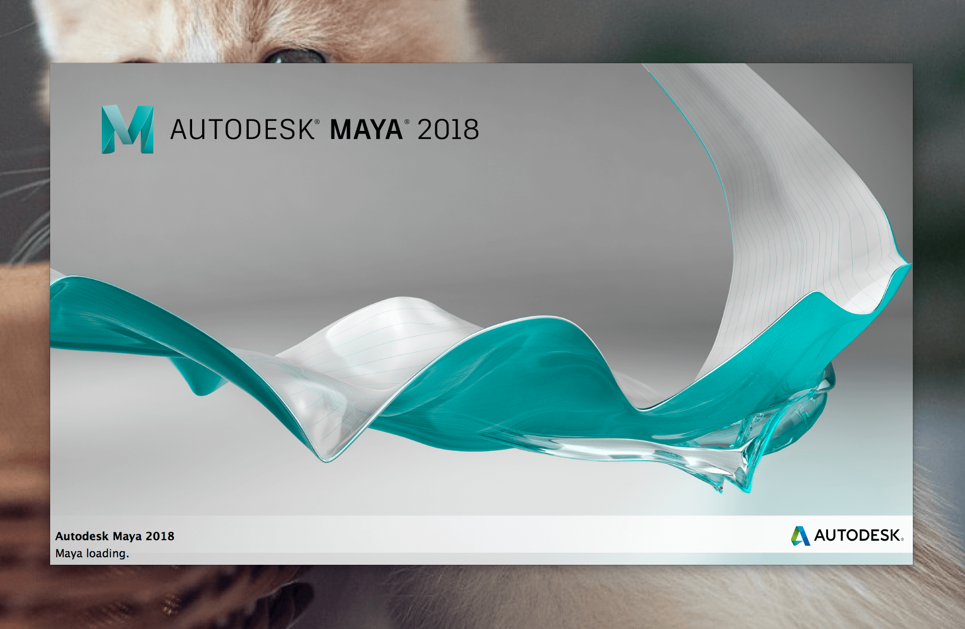 autodeskmayaformac2022三维动画软件