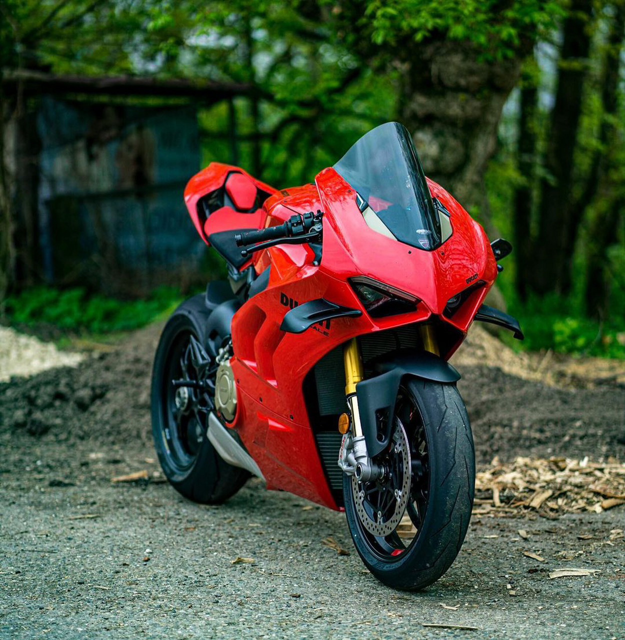 杜卡迪机车#摩托车