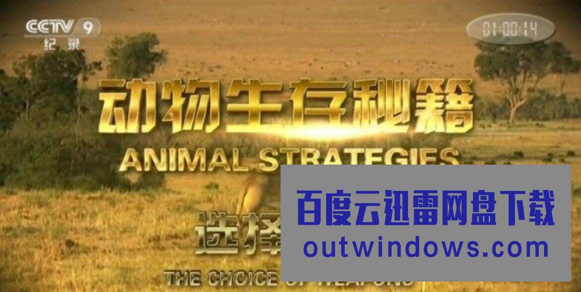 [电视剧]纪录片《动物生存秘籍 Animal Strategies》全6集 汉语中字 1080P高清1080p|4k高清