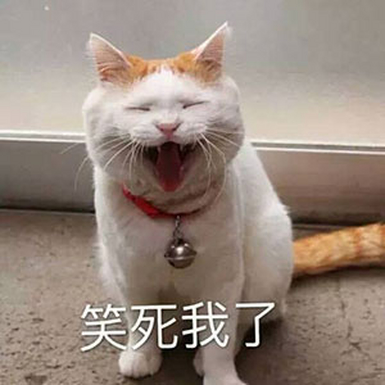 wear a smile 面带微笑 eg:wear a smile often, and you will feel