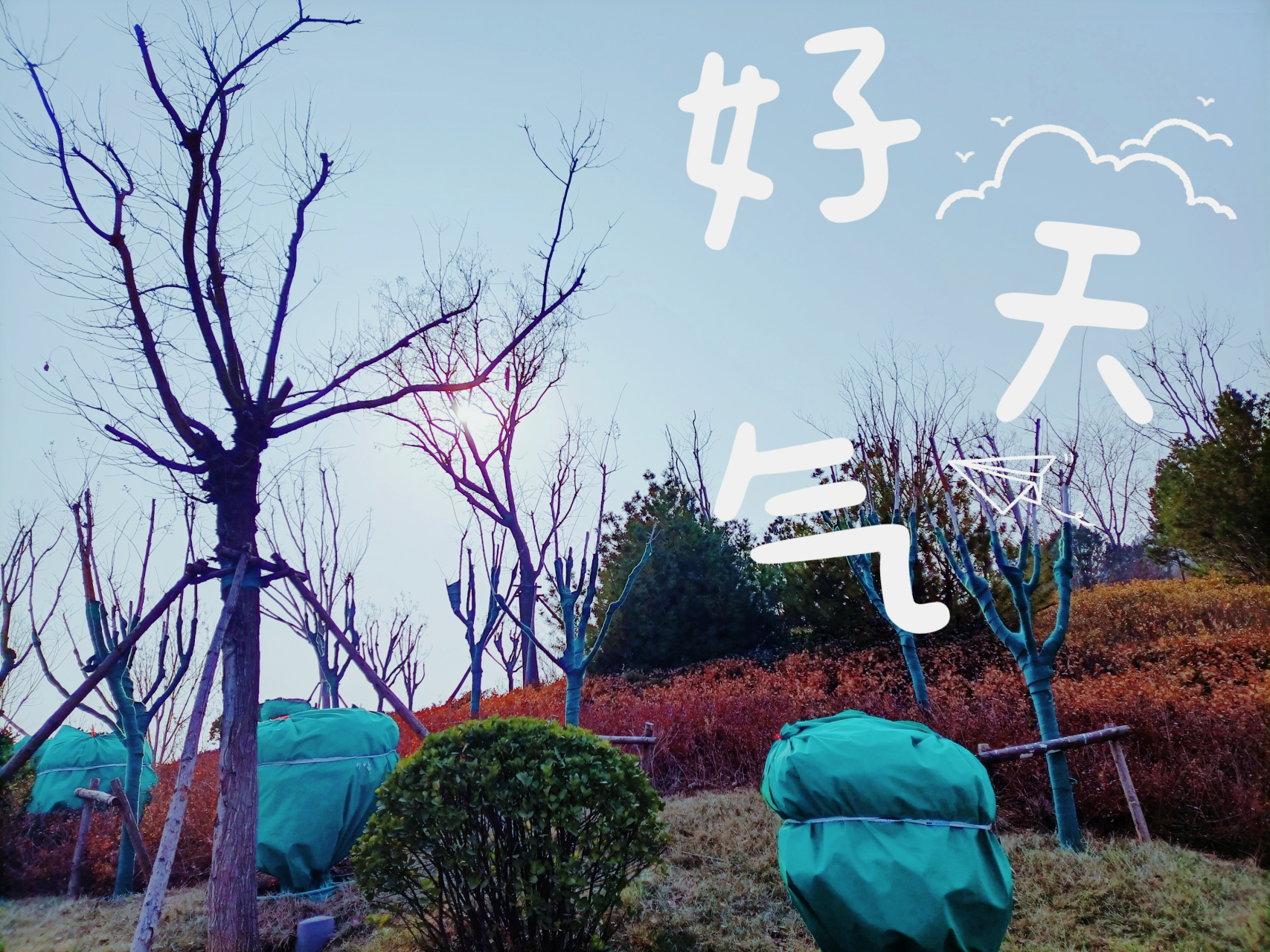 济南茂岭山公园转一转