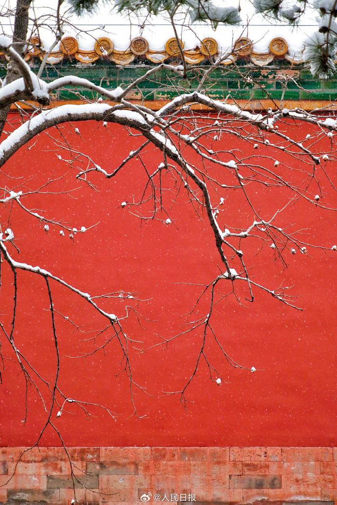 故宫的雪景真是绝了!