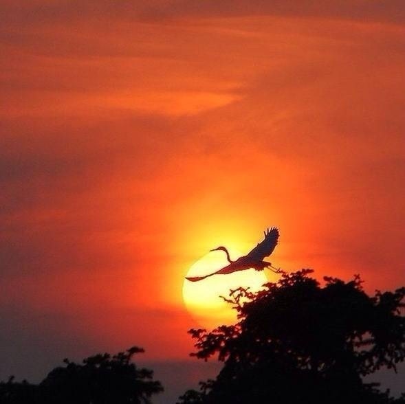 古风《归路感吟》