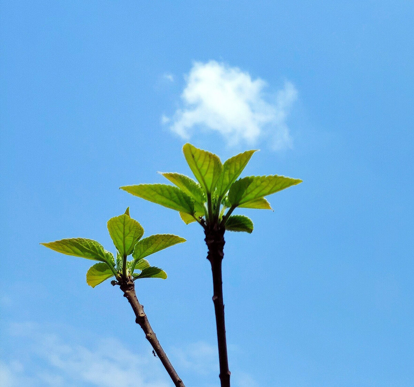 春季是个春意盎然的美好季节,春季人体阳气旺盛,正是养生好季节!