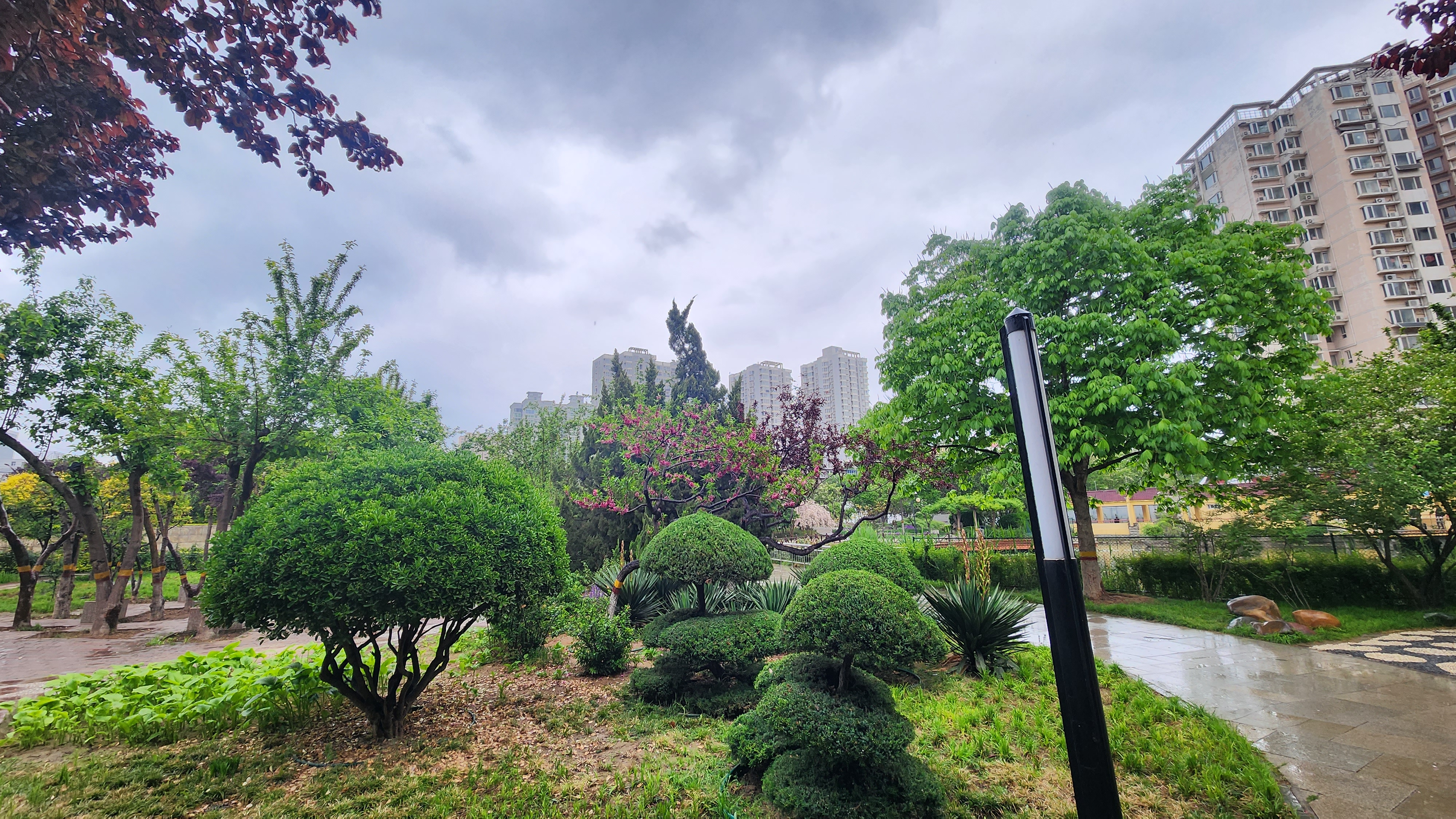 石家庄花卉园-景色优美