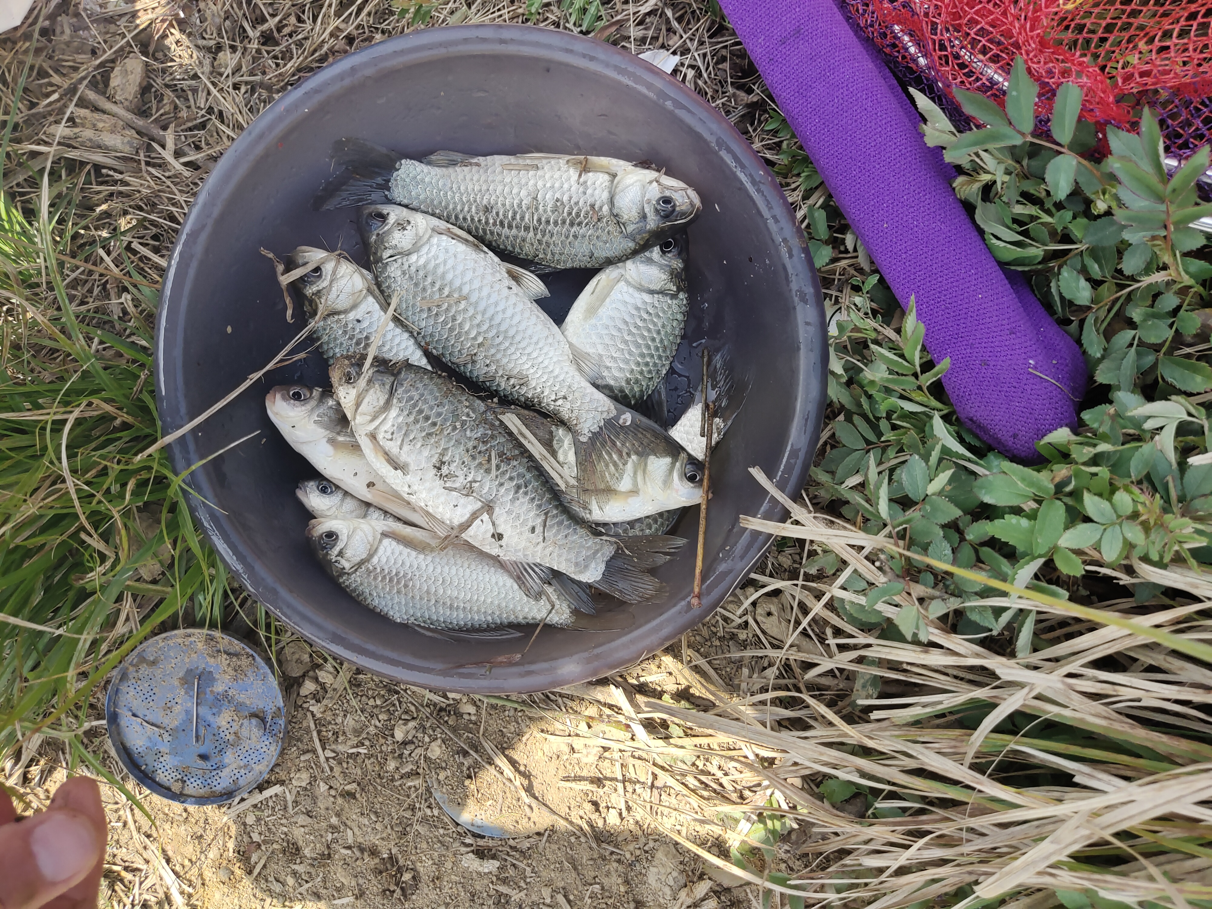 调平水钓二目下次怎样找底