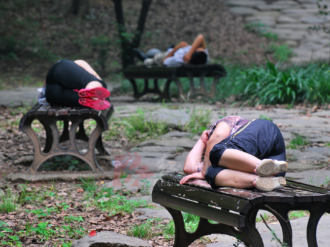 长椅加护栏,善莫大焉