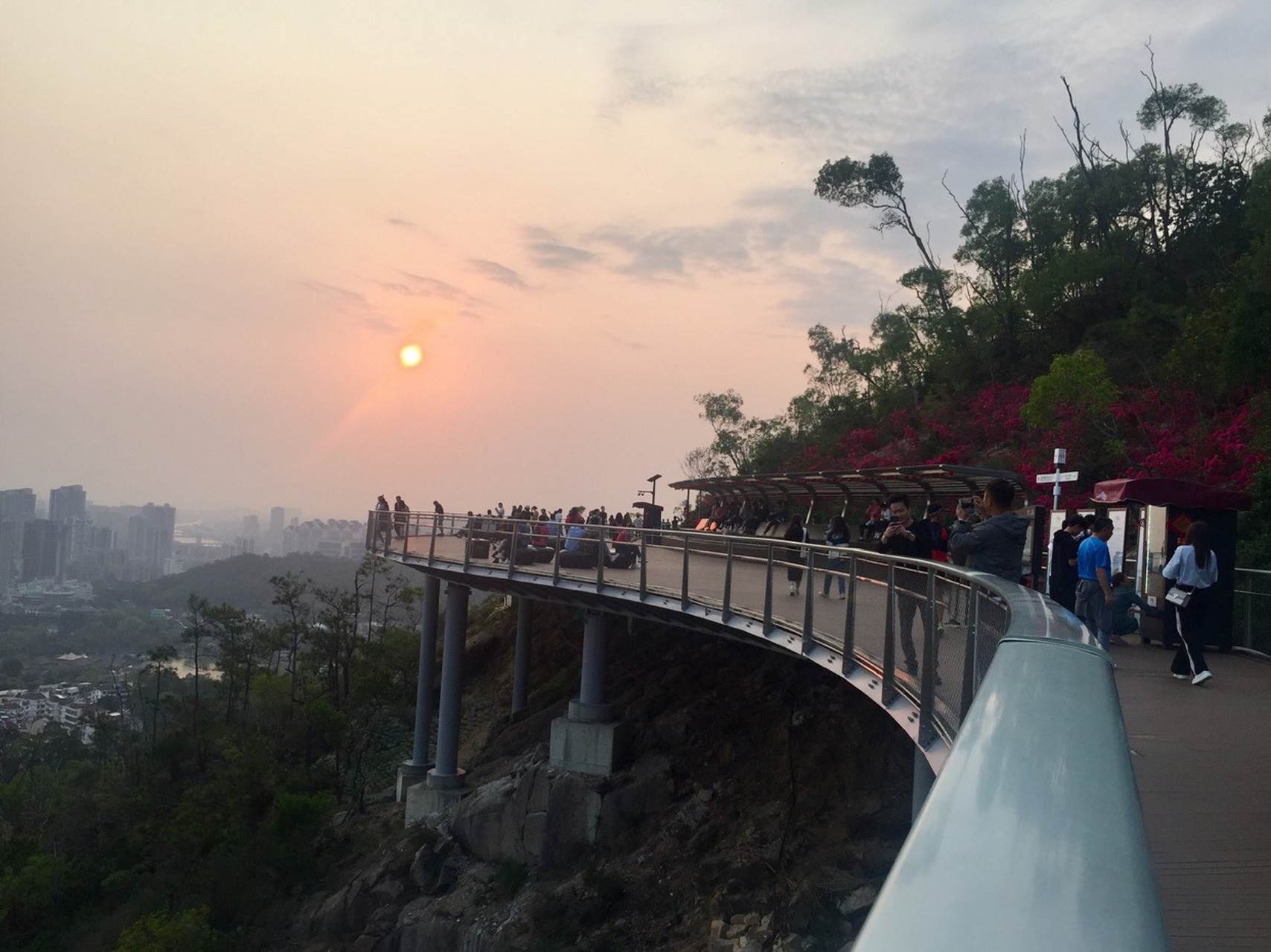 板樟山栈道预约图片