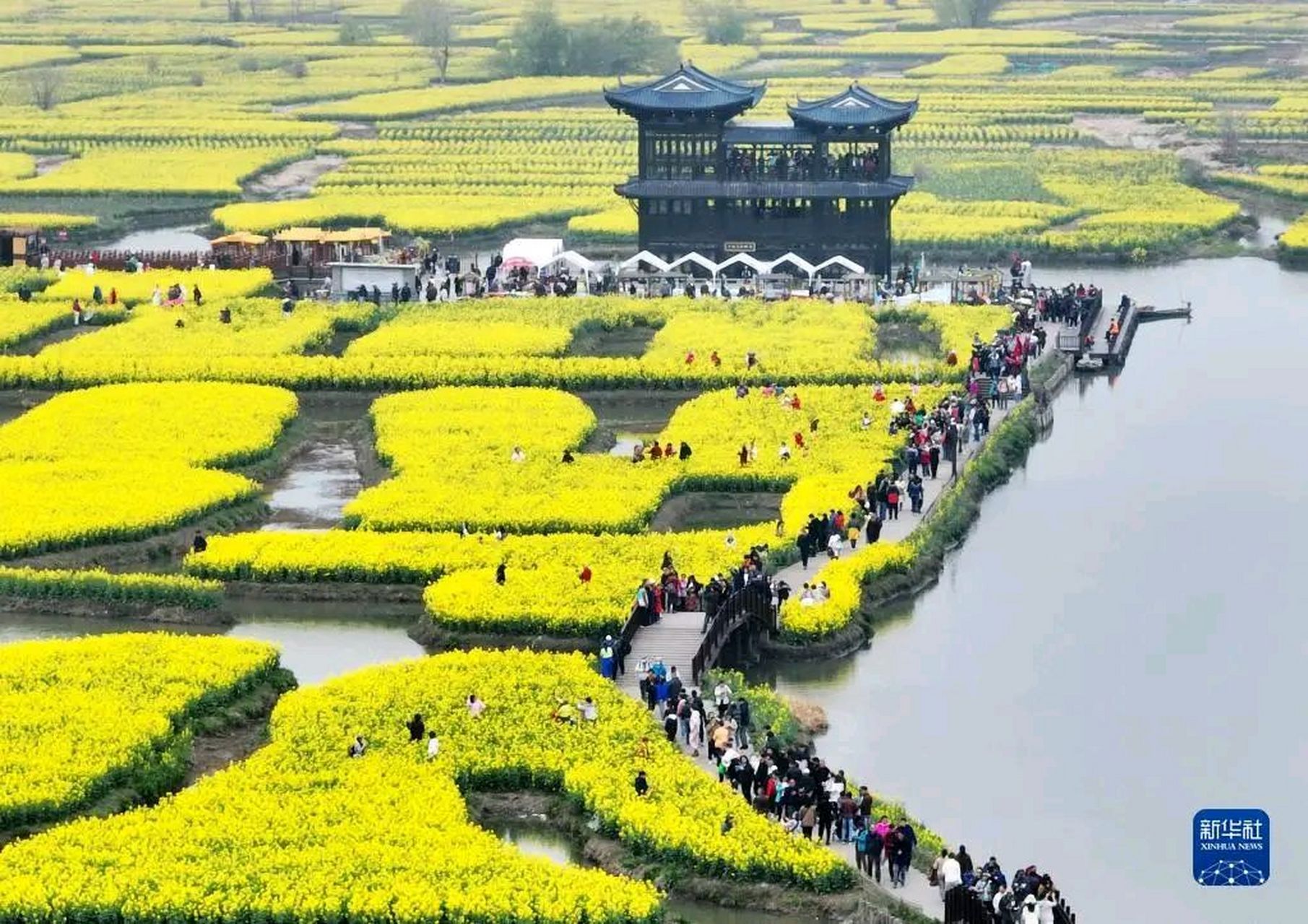 游人在江苏省兴化市千垛菜花景区乘船游览(无人机照片)这不就是人在画