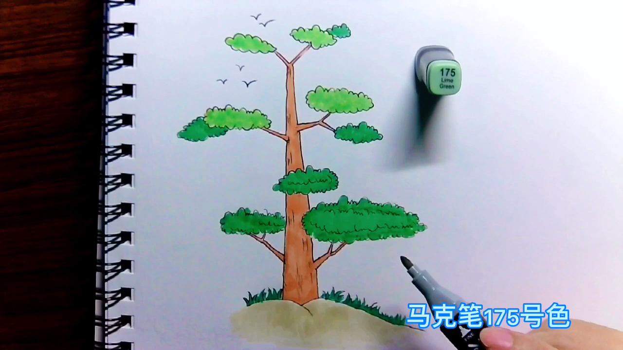 简笔画儿童画大全.手绘枫树画法,在家就能学习画画