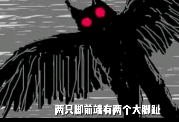 「uma」系列①——鸮人(康沃尔鸮人目击事件)慎入!