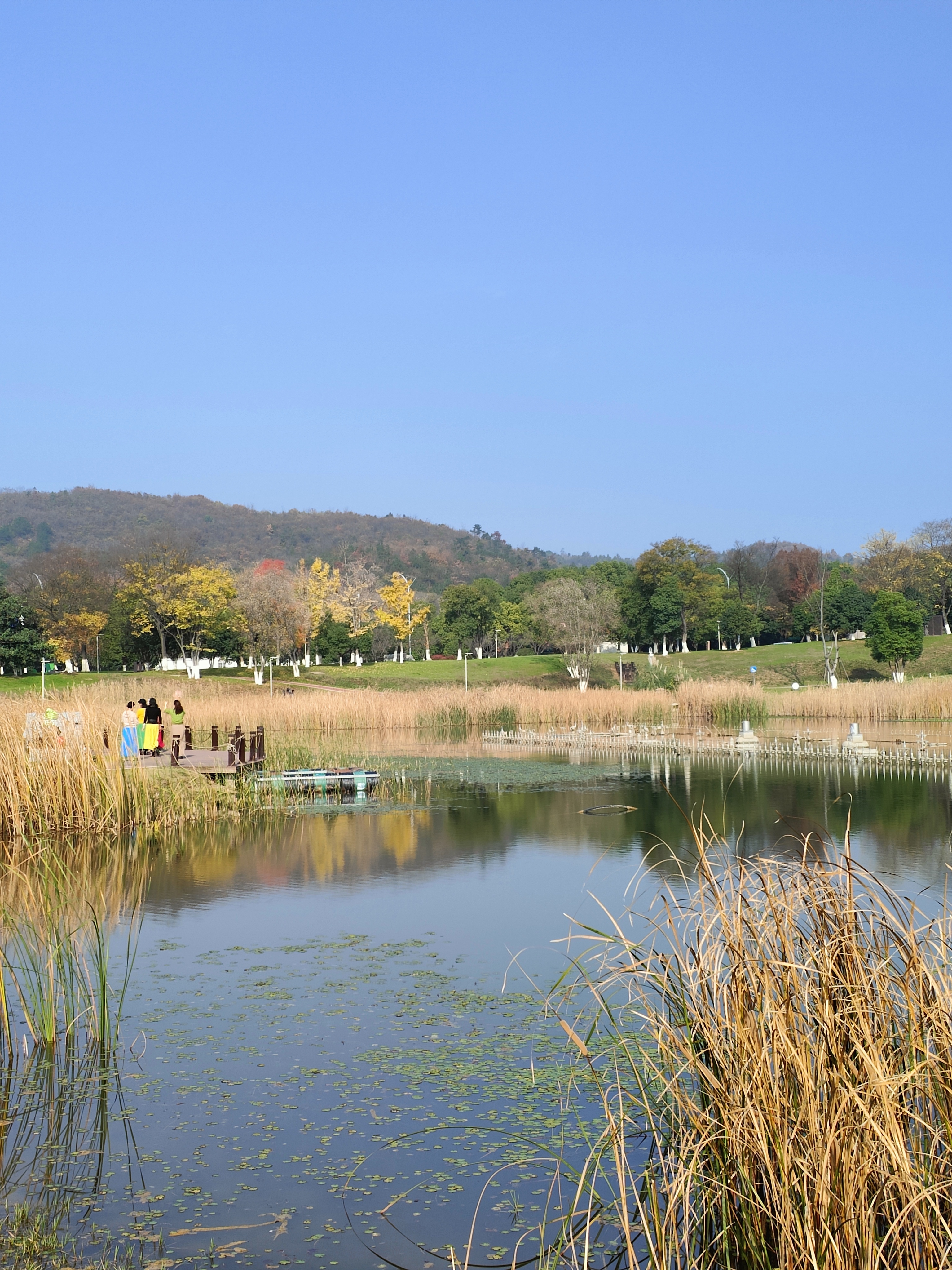 汤山温泉公园图片