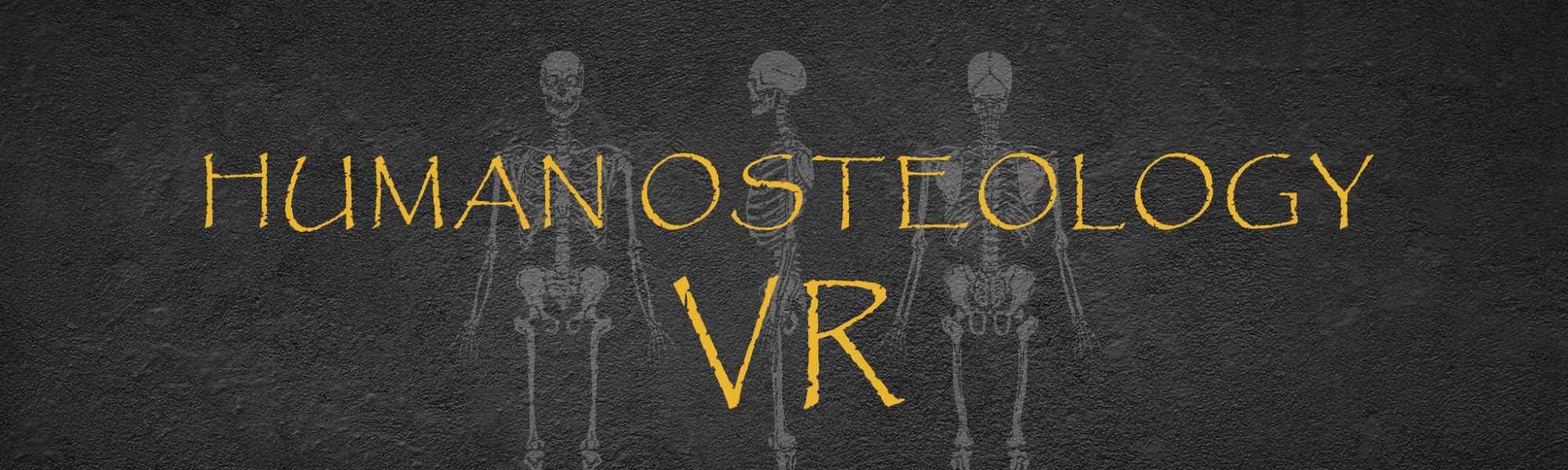 Oculus Quest 游戏《人体骨科 VR》Human Osteology VR