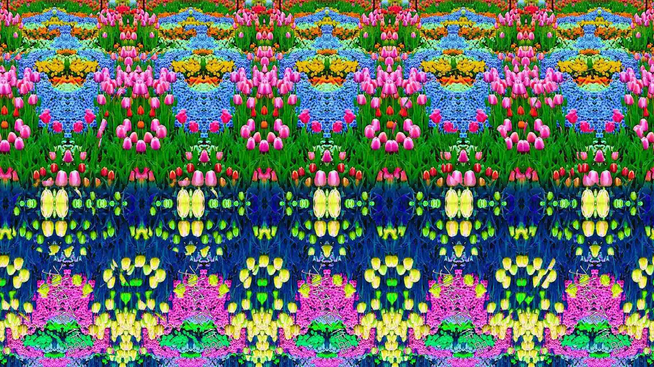 试了各种方法,就是不能成功,看不出来三维立体图里面的奇妙世界,你呢?