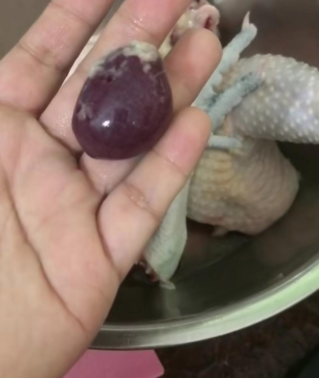 鸡忘记,小时候就听老人说不能吃,吃了记性会变差记事容易忘记!