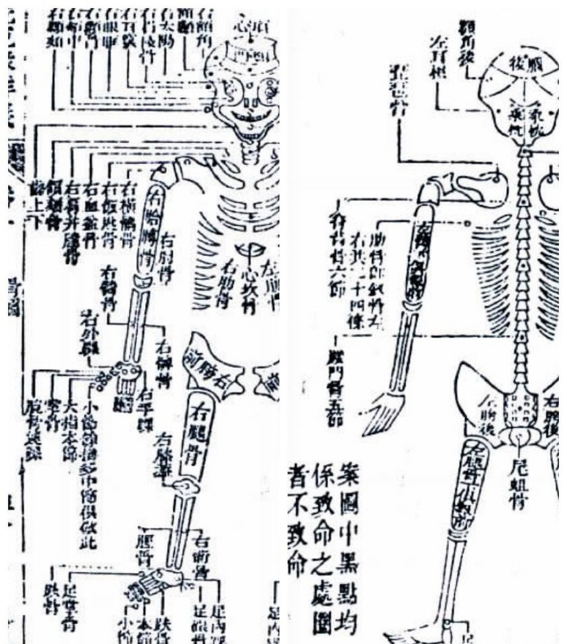 古代神秘验尸人,仵作已发布,欢迎大家来观看