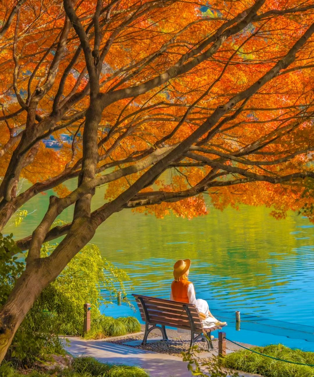 风景如诗如画的深秋,秋意更加深沉