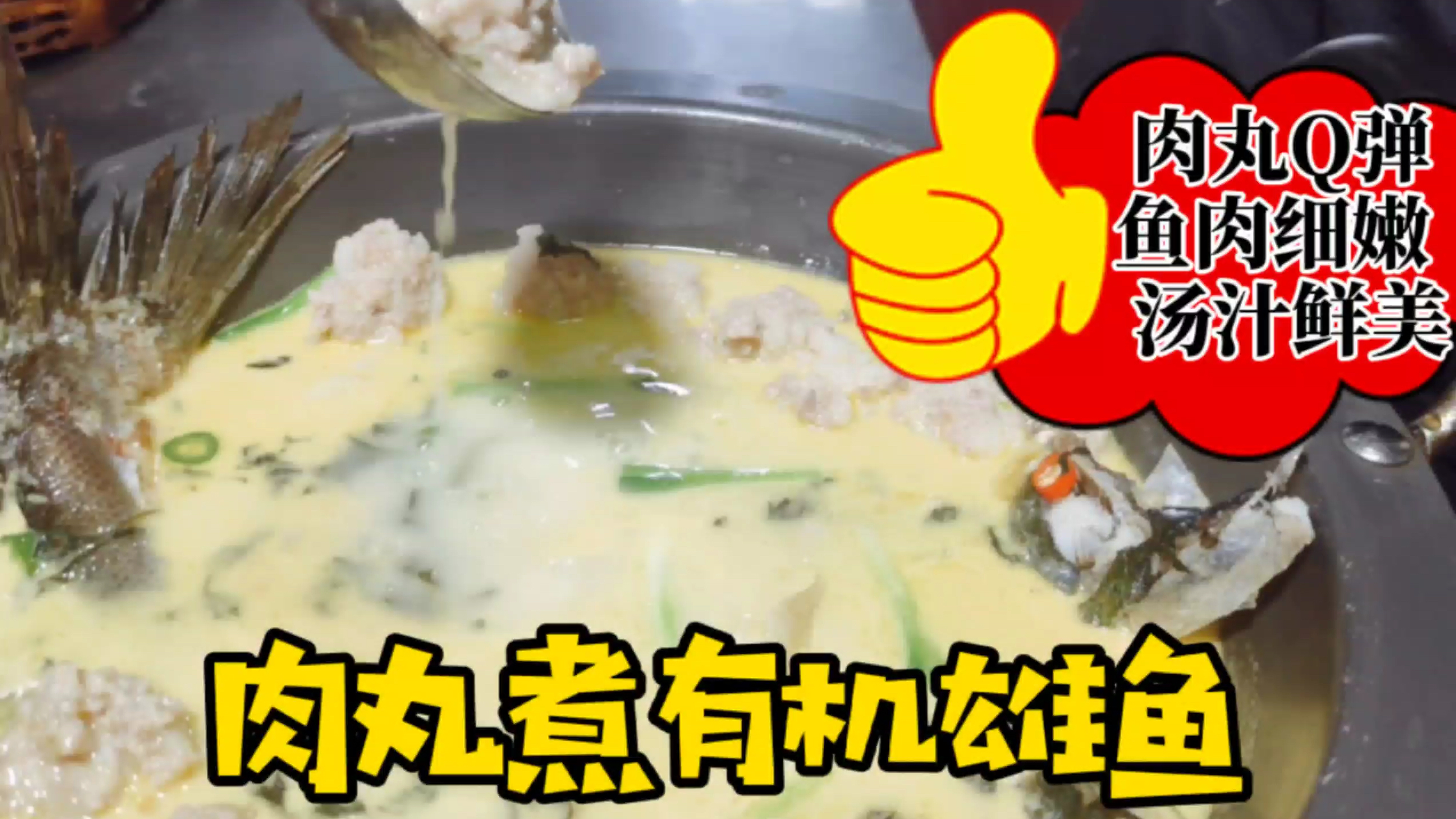 粉丝点的特别有记忆点的菜“肉丸煮雄鱼”,肉丸Q弹、汤鲜味美