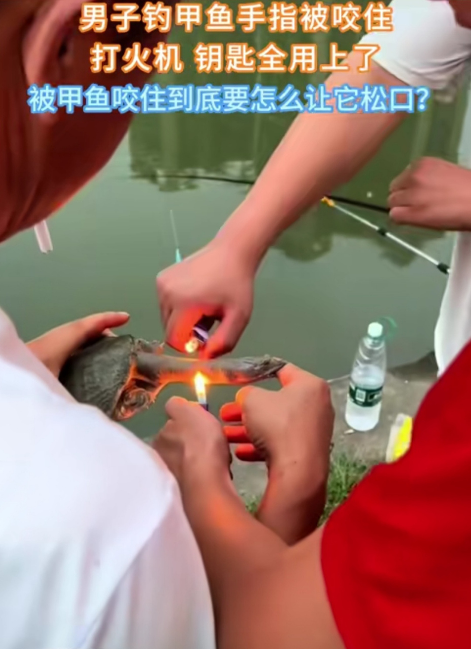 被甲鱼咬住到底要怎么让它松口?