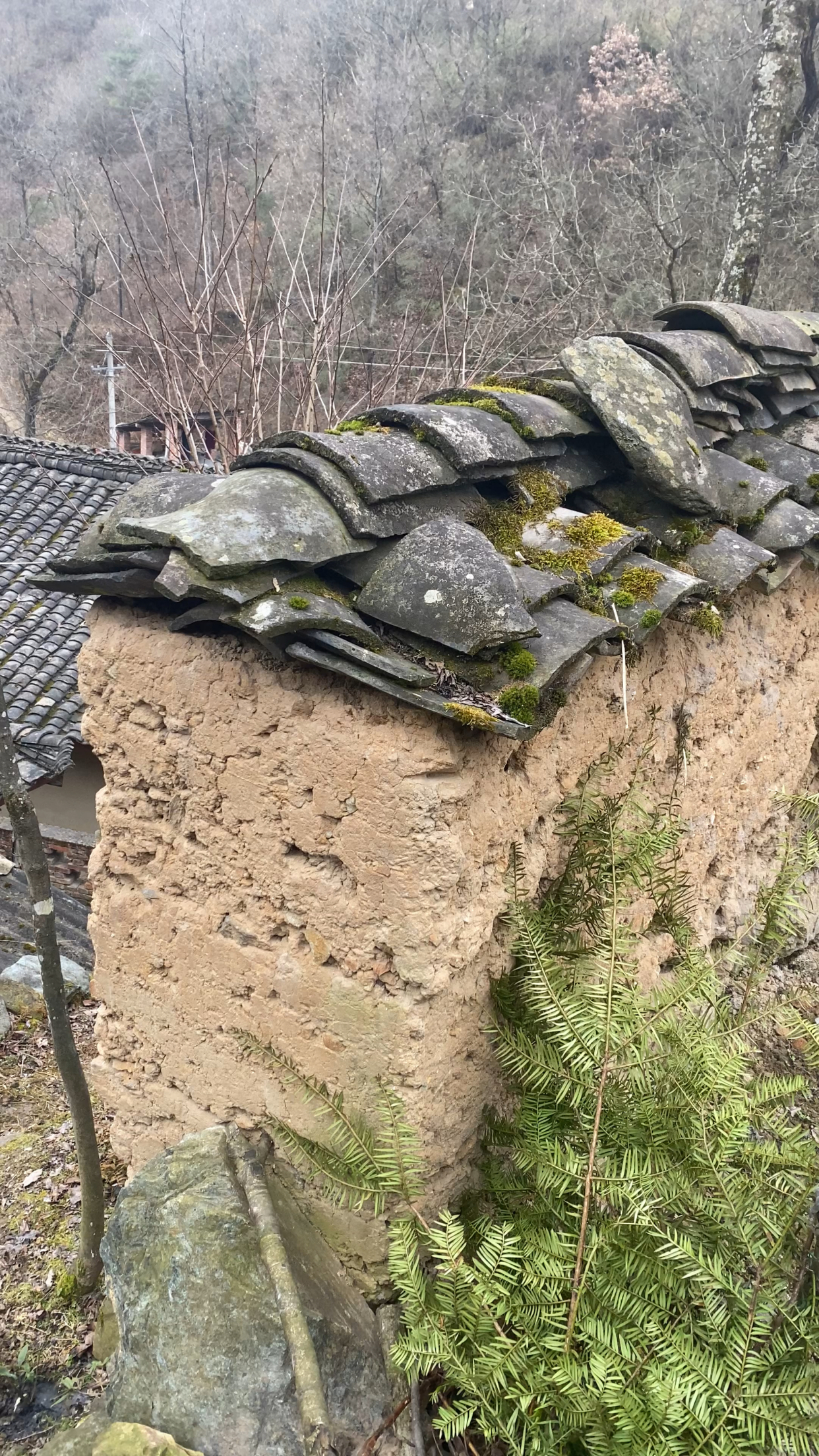 农村老屋土院墙