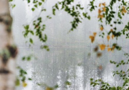 今朝雨霁新凉入,始信清秋本自清