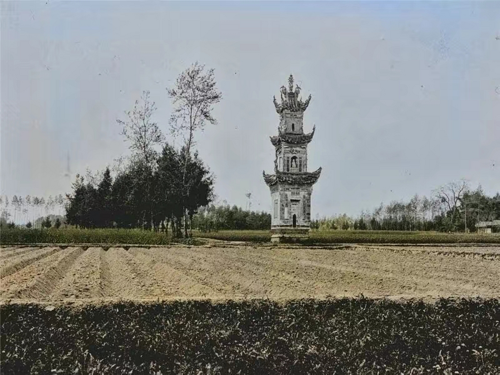 1910年四川郫县老照片,田地里的古塔,风格非常特异,四川是古蜀文明的