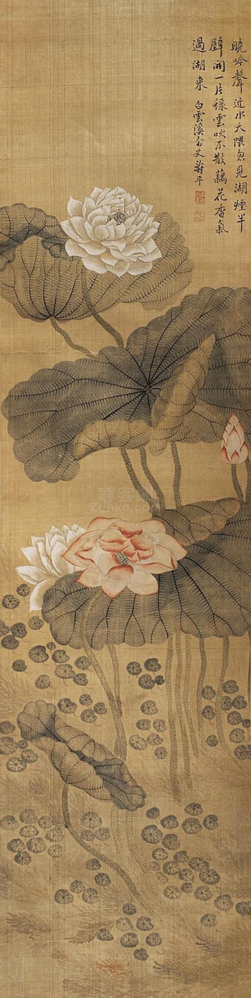 中国花鸟画中的名花卉——莲花【十七】清代名家恽寿平作品欣赏