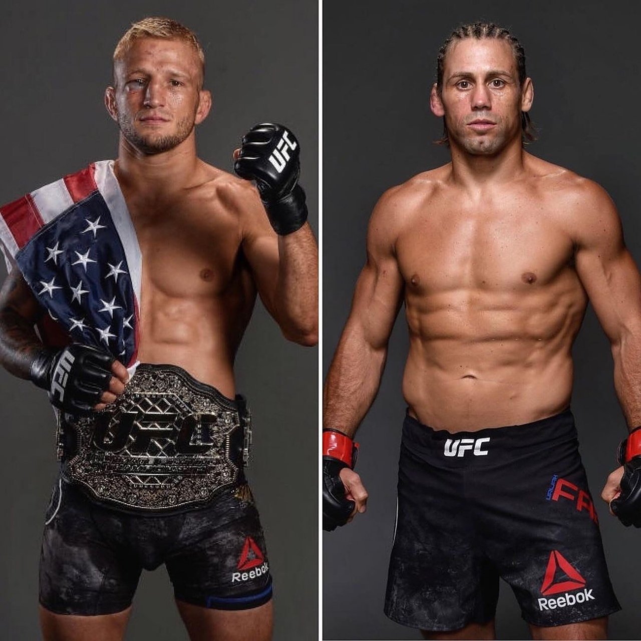 传闻tj-迪拉肖与菲波的比赛正在洽谈中…… tj-迪拉肖曾今跟随菲波