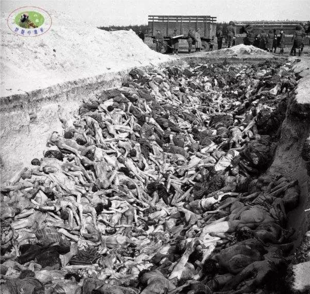 一个幸存者的回忆,纳粹集中营里的见闻