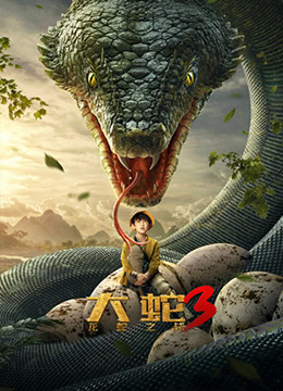 大蛇3：龙蛇之战彩