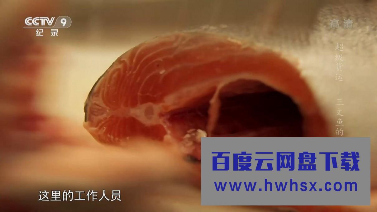 《超级货运.三文鱼的热潮》4K|1080P高清百度网盘