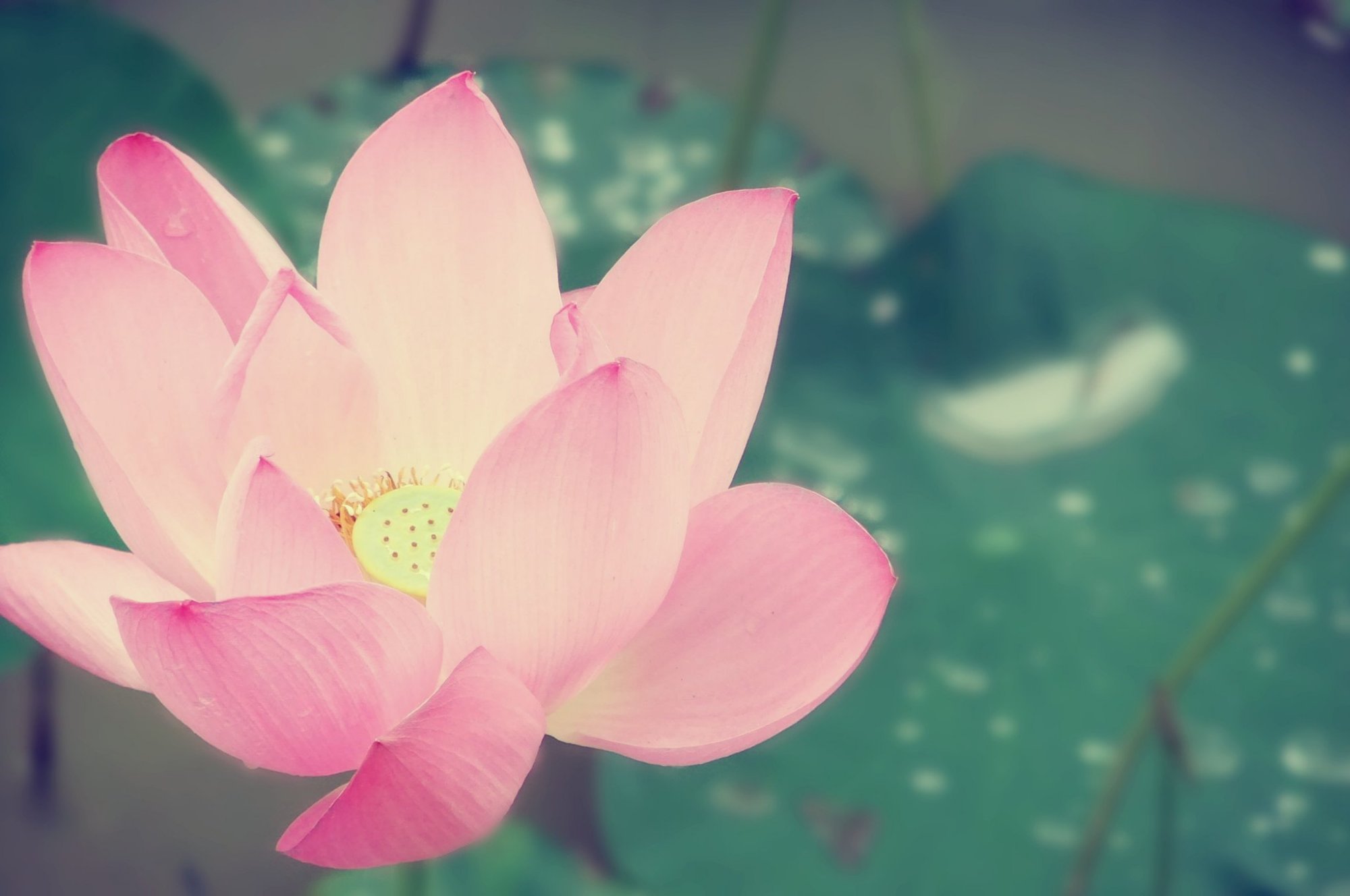 心理测试,凭感觉选能让你安静的图,测你压力大时如何放空自己