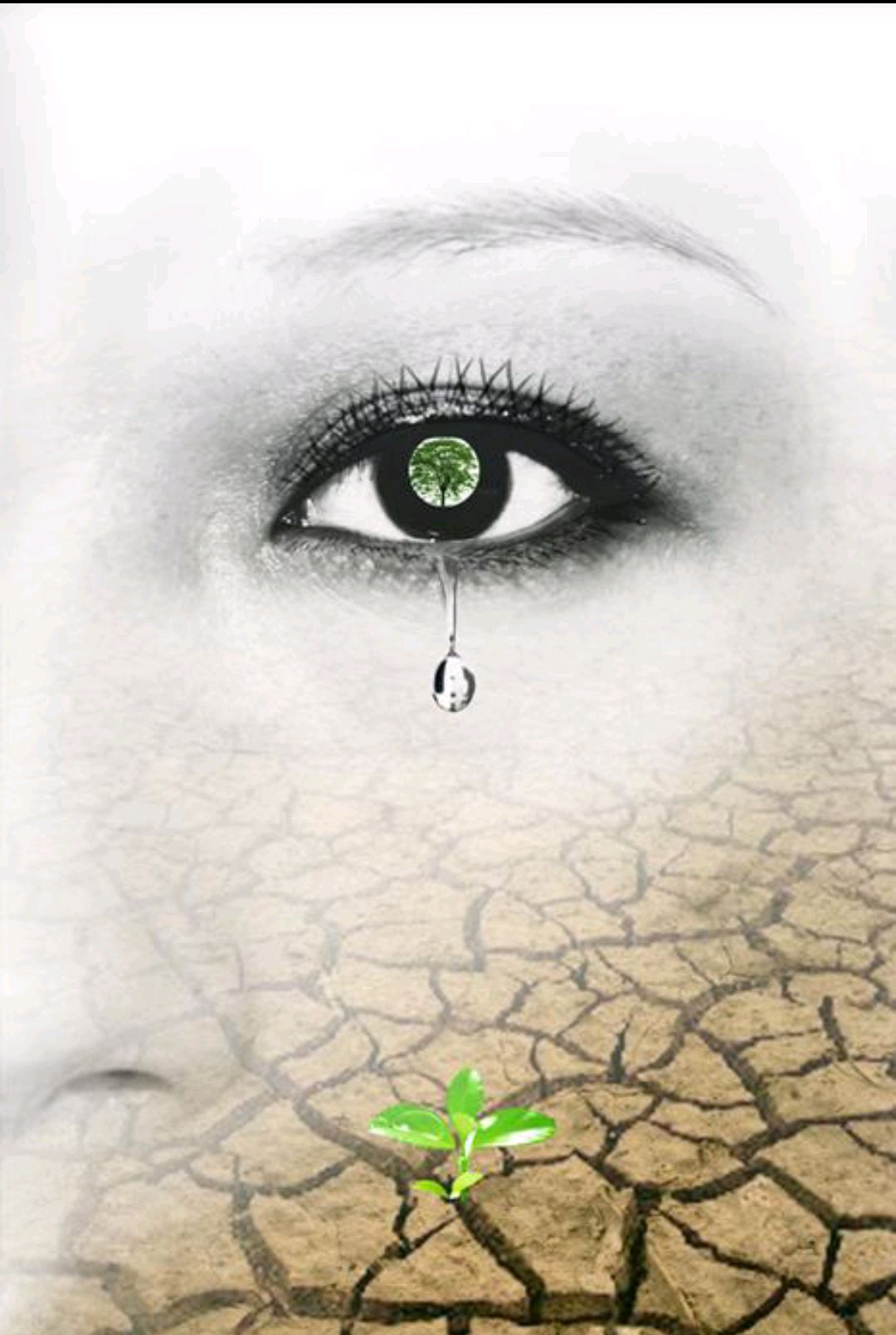 女人泪,如花蕊的露滴