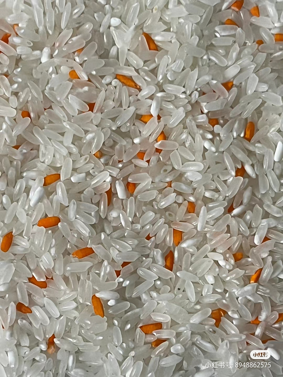 哪怕没有发霉的部分只是因为还没有显现出孢子的颜色,但是已经有霉菌