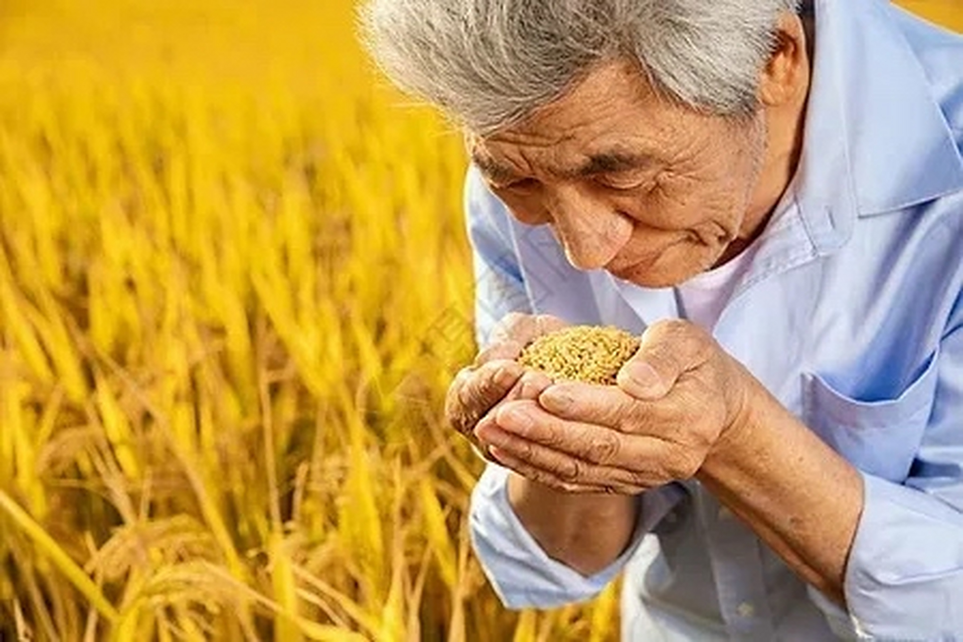 吃粮食到底该不该感谢农民 有些人说:全国人民吃粮食,不用感谢农民,你