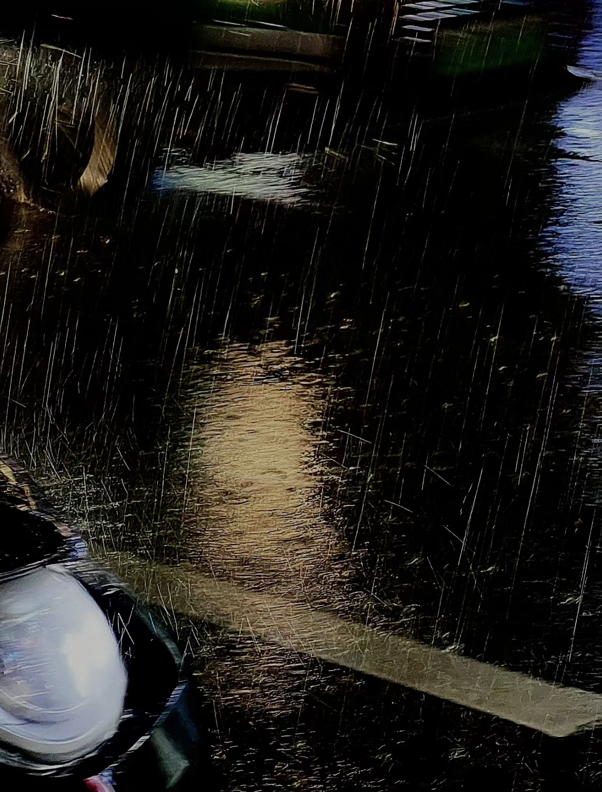 独自撑伞的日子也一定要顺顺利利