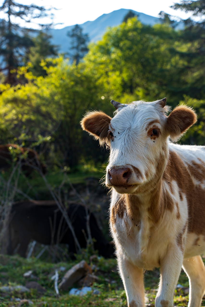 853_1280竖版 竖屏