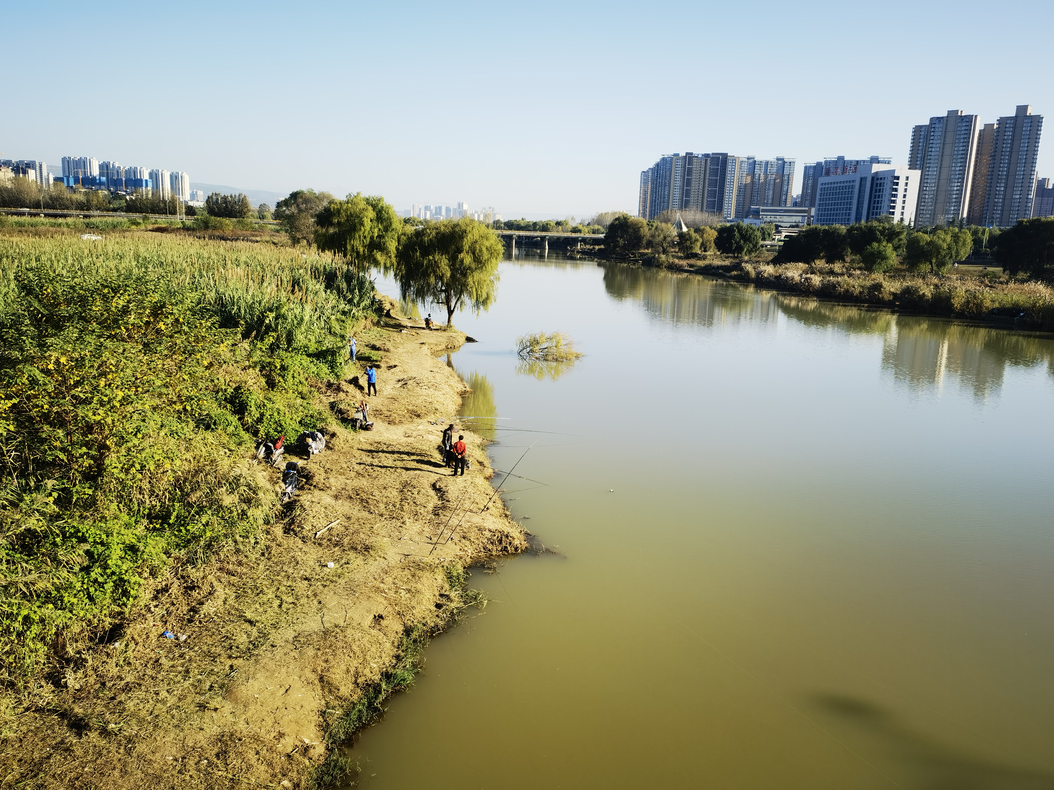 灞河边散步看放风筝