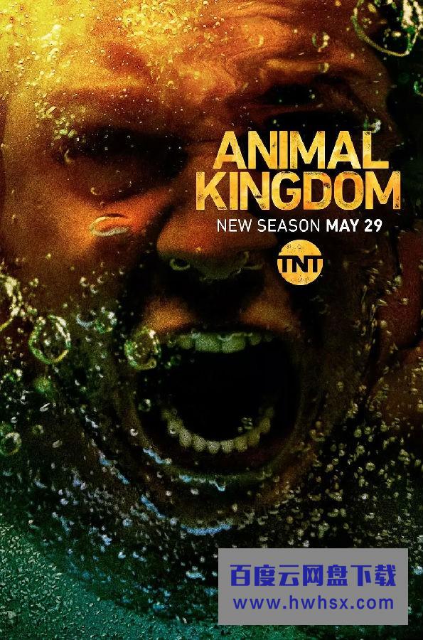 [动物王国/野兽家族/Animal Kingdom 第三季][全13集]4k|1080p高清百度网盘