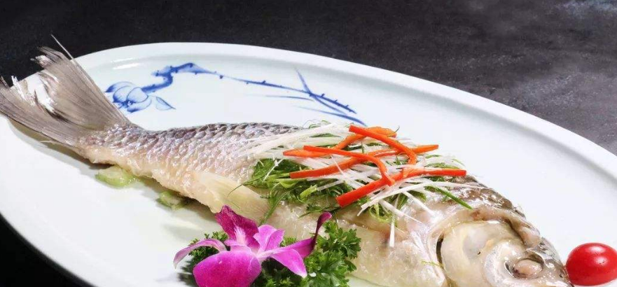 元鱼- 优质问答专区