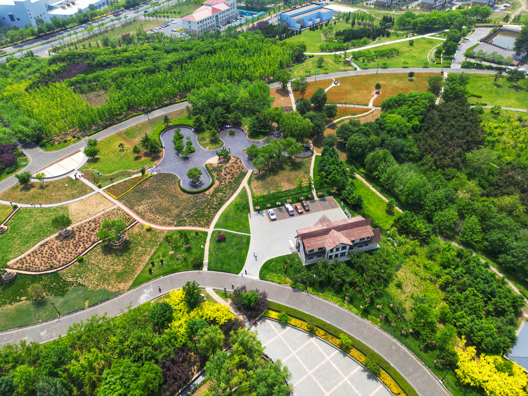 航拍大连董家沟植物园,夏季游玩好去处,可以免费看花的公园,向日葵