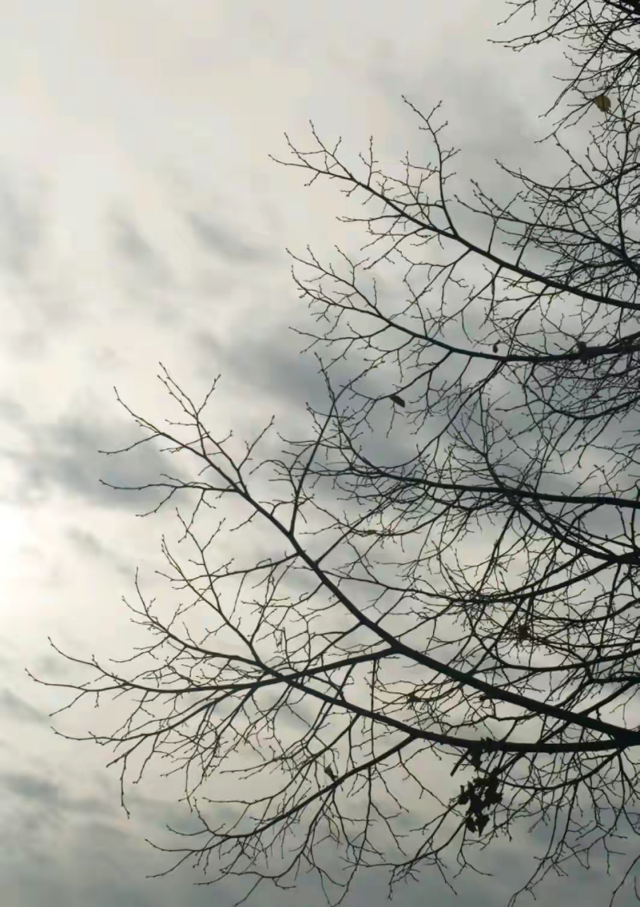 "目的性"和"目的"的区别恰恰也就在这里.