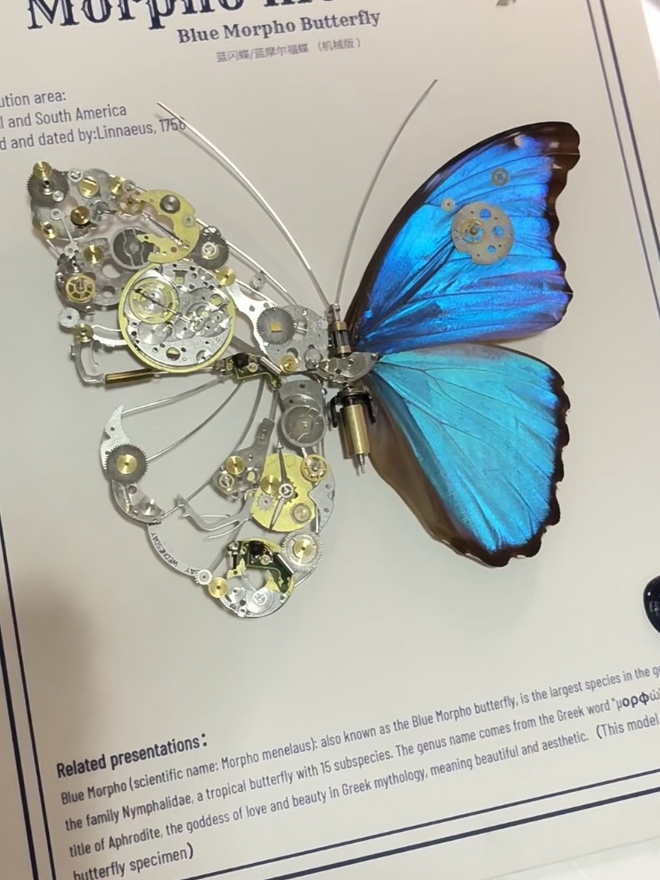做一款机械蝴蝶融合力与美,送给你最爱的人吧