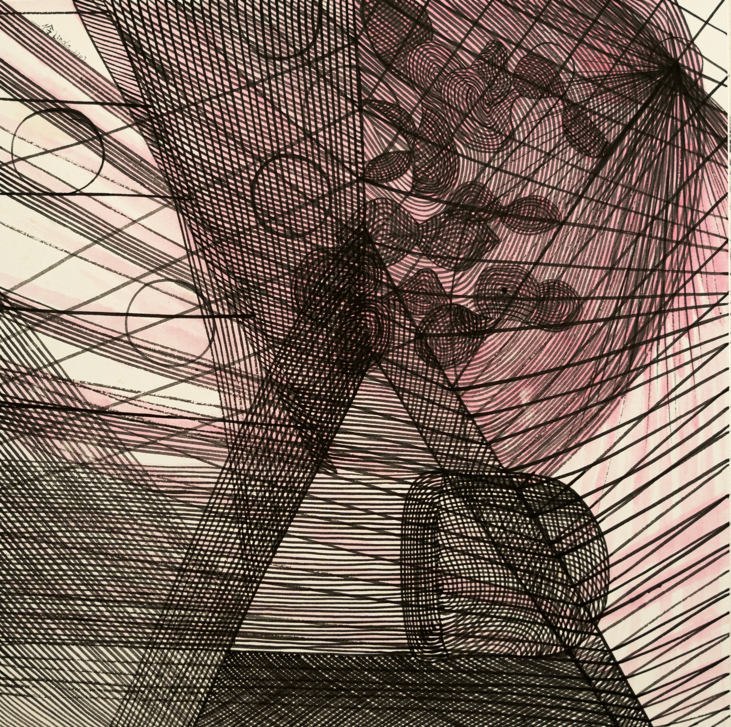 展讯|"曲线编织的世界"张伶伶个展