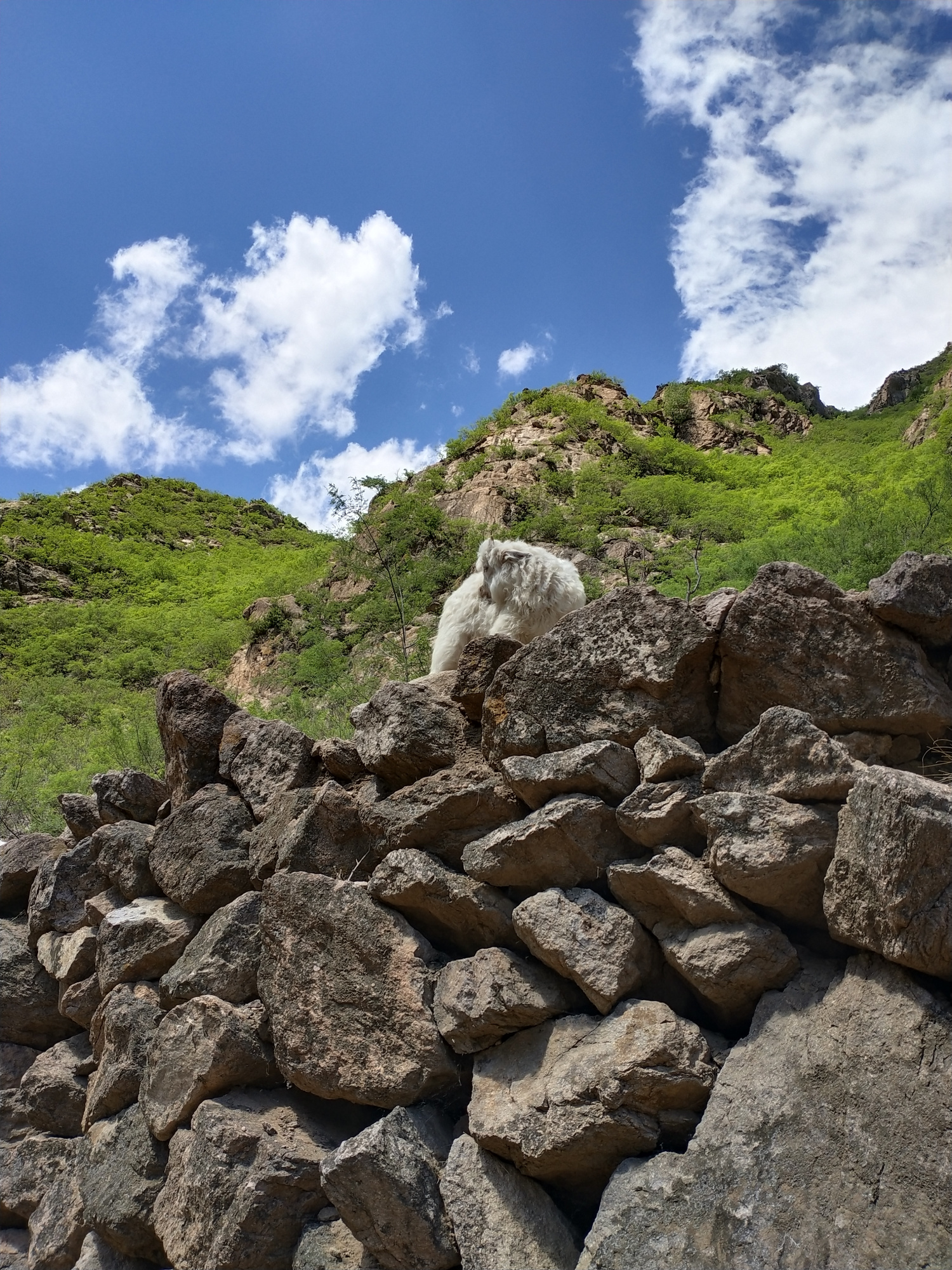 保定涞水野狼谷风景如画