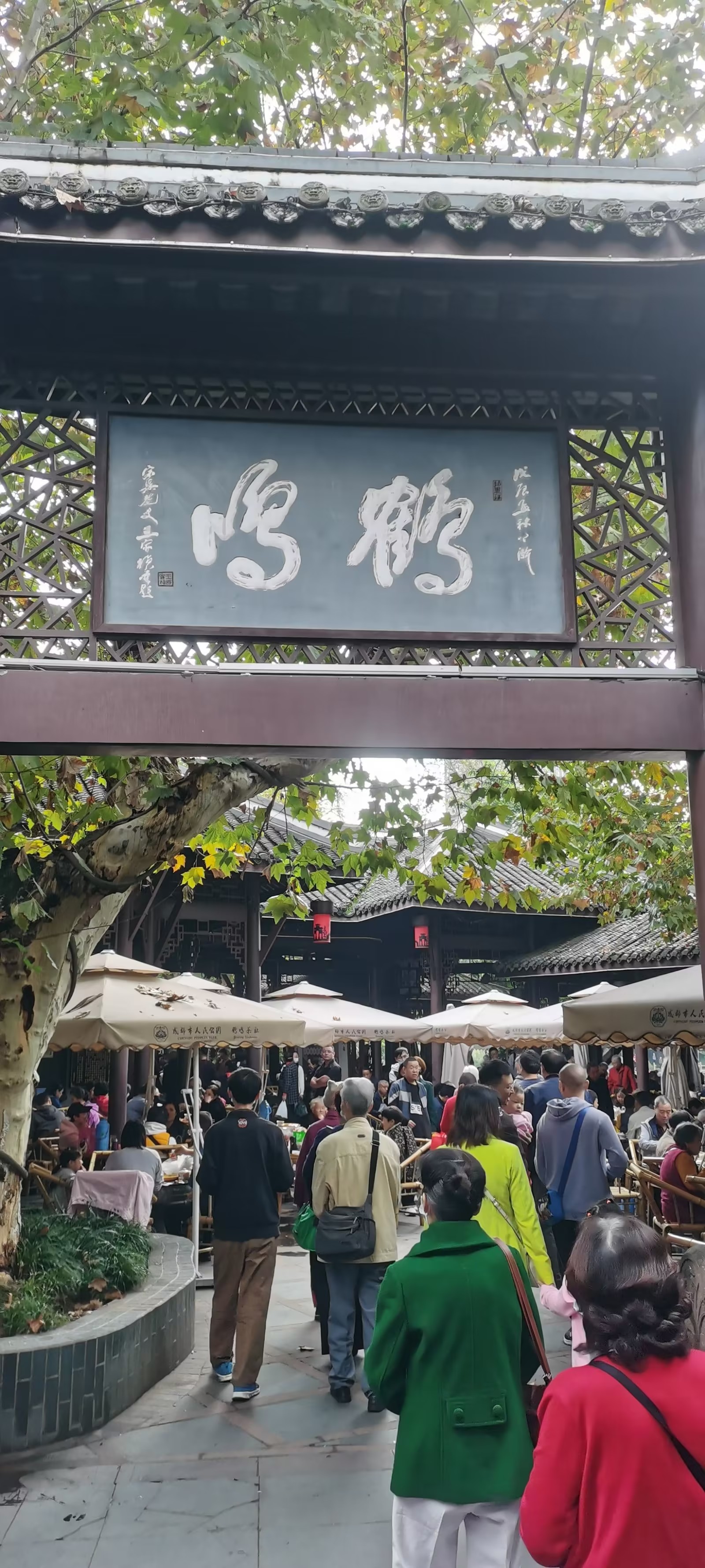 鹤边鹤鸣公园图片