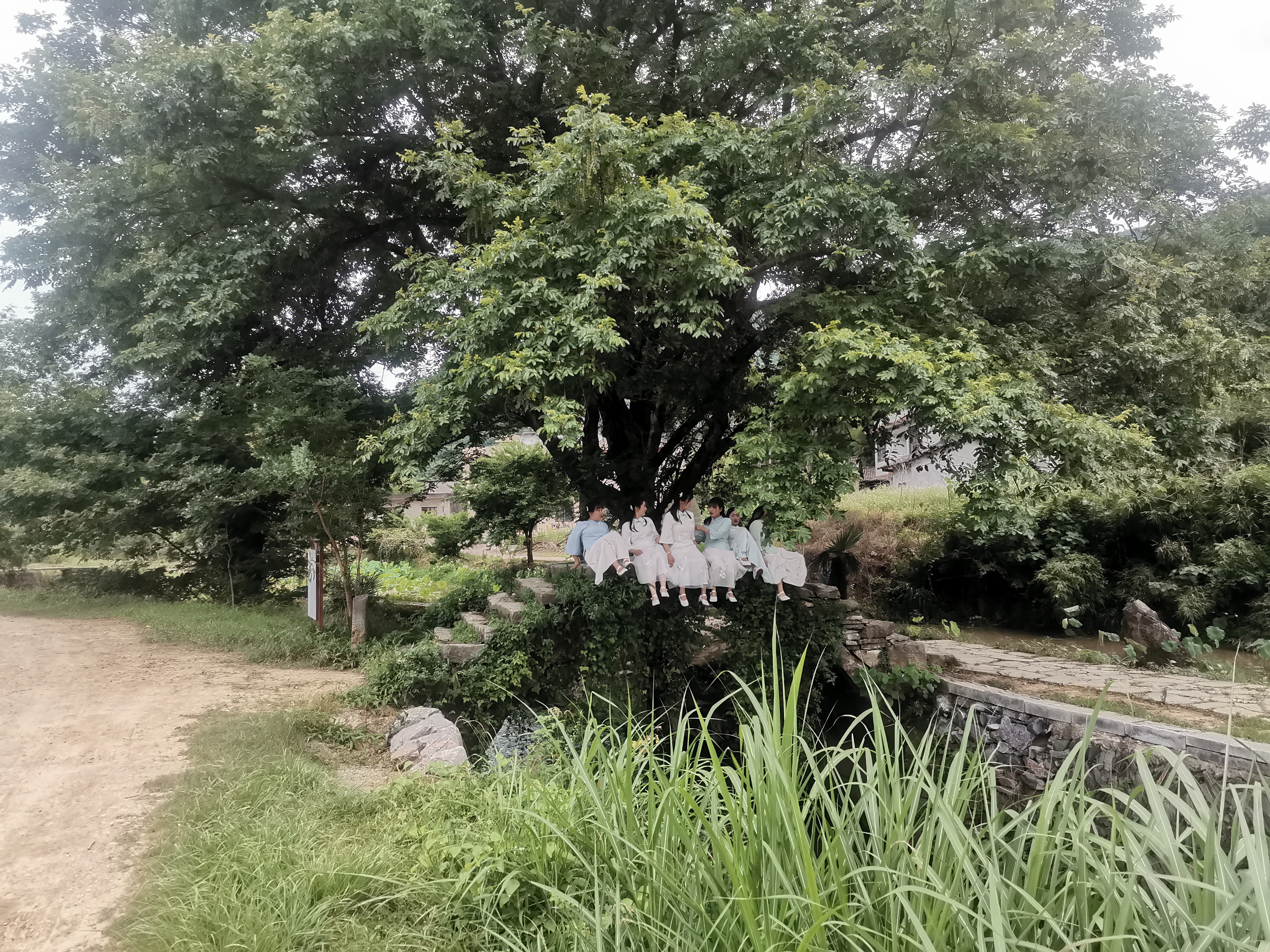 崇阳茅井古村,琼瑶笔下的水云间