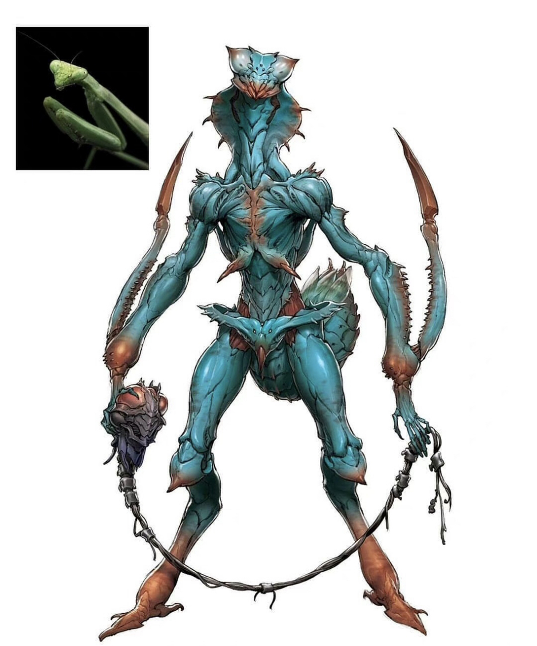 昆虫拟人,战斗力爆表!话说蓝色的虫子叫什么[挠头]#动漫