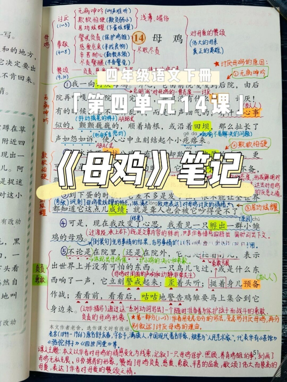 四年级下册语文笔记第四单元14课《母鸡 课后练习题及课文解析等